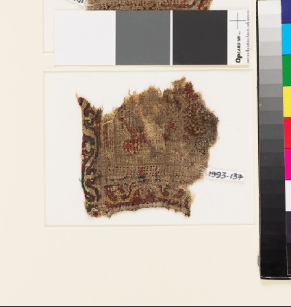 Textile fragment with scrolling stem border, probably from a tabfront