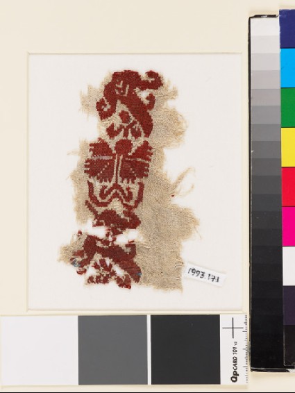Textile fragment with stylized flowers, possibly a carnation and tulipfront