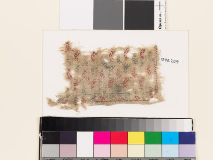Textile fragment with stems and stylized leavesfront