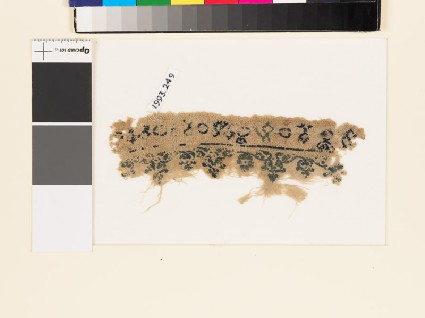 Textile fragment with floral scrolling border, birds, and circlesfront