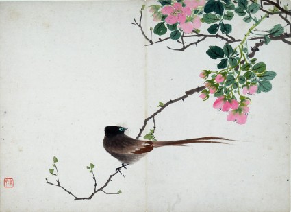 Bird sitting on a branch with pink flowersfront