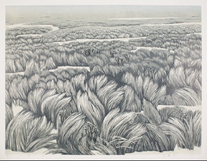 Vigorous Grassfront
