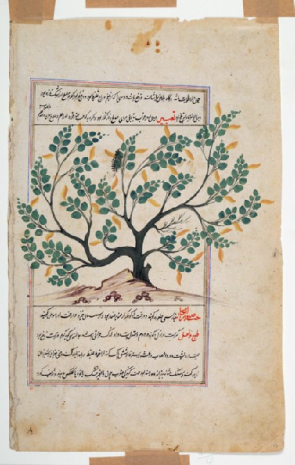 Page from a dispersed manuscript of Qazwini's ‘Aja'ib al-Makhluqatfront