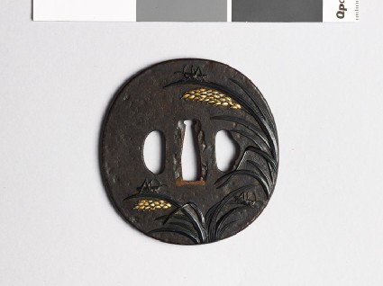 Tsuba with rice plants and grasshoppersfront