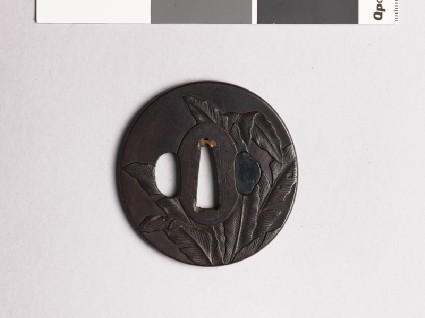 Tsuba with banana palmfront