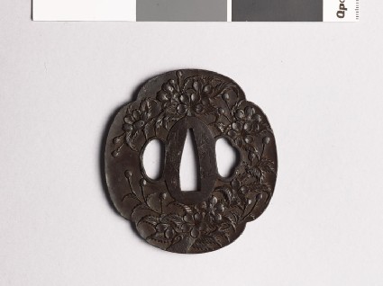 Mokkō-shaped tsuba with cherry blossomfront