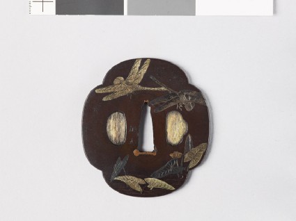 Mokkō-shaped tsuba with dragonflies over a pondfront