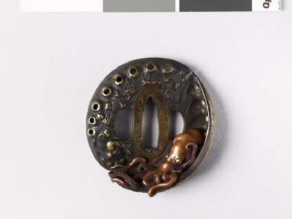 Tsuba in the form of two awabi shells with a tako, or cuttlefishfront