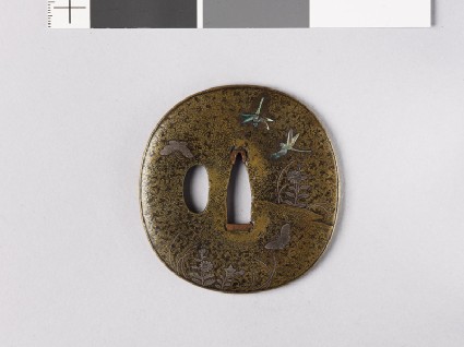 Lenticular tsuba with Platycodon plants, butterflies, and dragonfliesfront