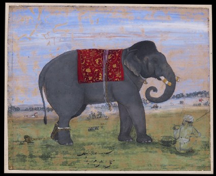 Elephant and keeperfront