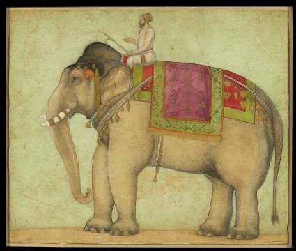 Royal elephant with mahoutfront