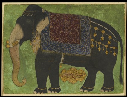 The elephant Khushi Khanfront