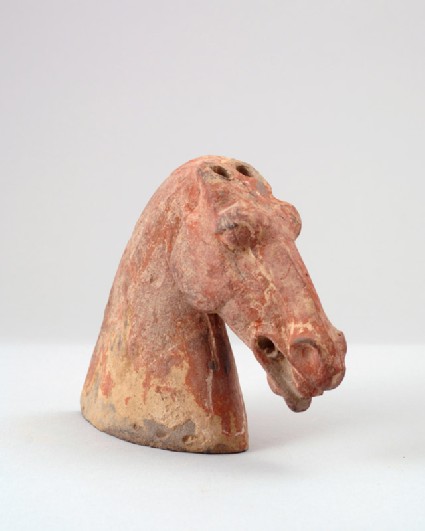 Figure of a horse's headfront