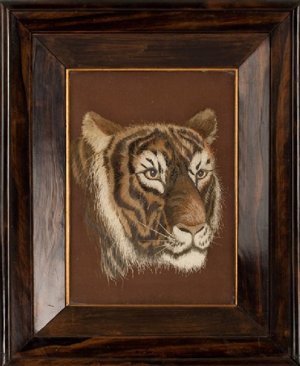 Head of a tigerfront, Cat. No. 33