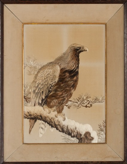 Golden eagle on a snowy pine branchfront, Cat. No. 14