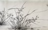 Epidendrum, bamboo, and rocks (detail)