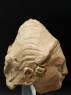 Head of a warrior (side)