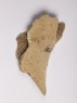 Oracle bone (bottom)