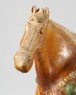 Figure of a horse with saddle (oblique)