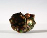 Cup in the form of a shell (oblique)