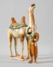 Figure of a camel (oblique)