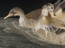 Ducks by a river bank (detail, Cat. No. 9)