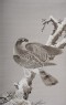 Hawk on a snowy pine branch (detail, Cat. No. 13)
